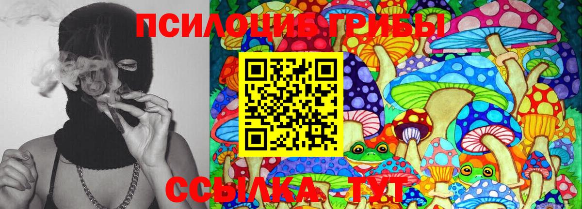 Галлюциногенные грибы Cubensis  Вход с VPN  Курчалой 