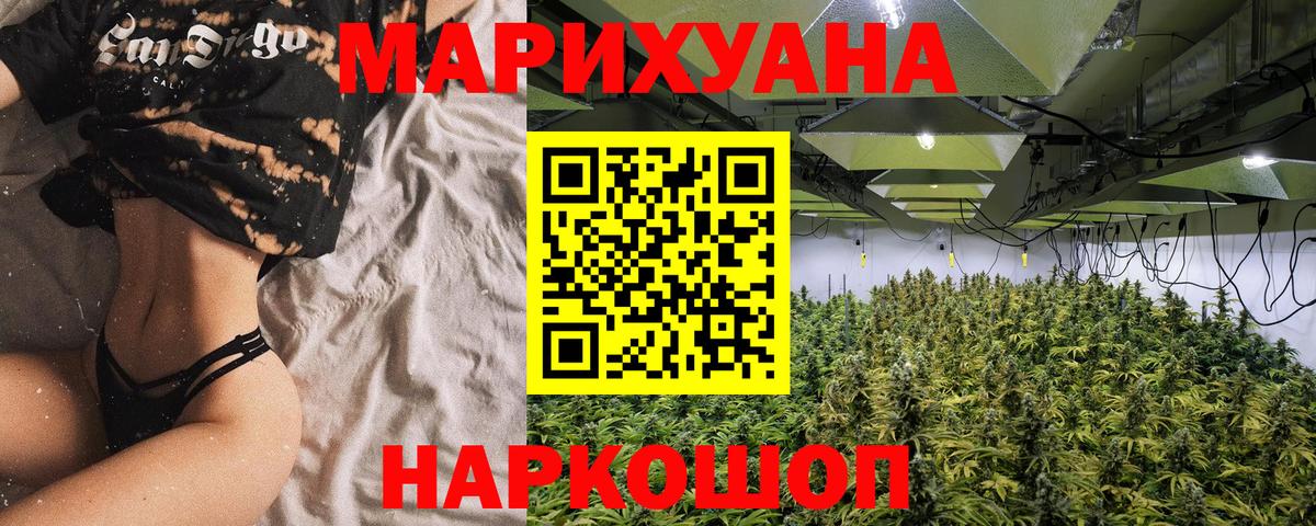 Канабис сатива  Марихуана план  Вход с VPN  Конопля Bruce Banner  Курчалой  Шишки марихуана THC 21% 